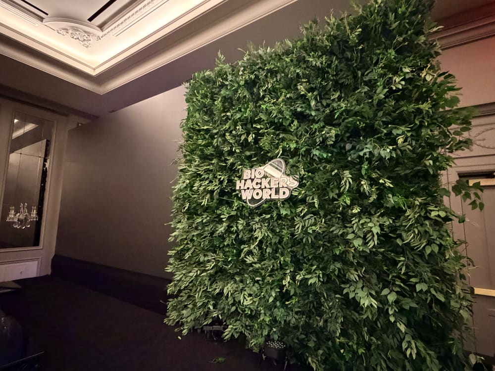 Tall greenery wall with an illuminated brand logo