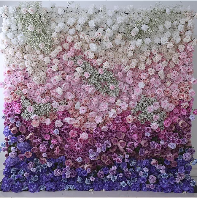 pink and purple ombre